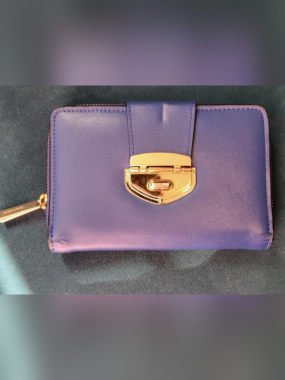 Danier Leather Wallet